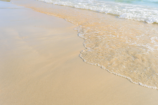 포토 JPG 해외이미지 식물 파도 바다 백그라운드 밭 태국 자연 풍경 해변 사람없음 야외 물 여름 모래사장 환경 연못 땅 장면 지형 지역 내추럴 생태학 지리 카피스페이스 해외포토 자연요소 계절 교육 아시아 농업 공백 생태계 파일형식 이미지허브