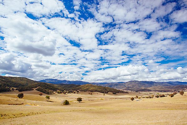 포토 JPG 해외이미지 나무 도로 여행 자연 하늘 휴가 풍경 사람없음 야외 여름 강 여행객 운전 시골 고속도로 황무지 호주 아스팔트 언덕 도로표지판 오지 해외포토 식물 계절 길 교통시설 모션 사람 표지판 오세아니아 생태계 파일형식 이미지허브