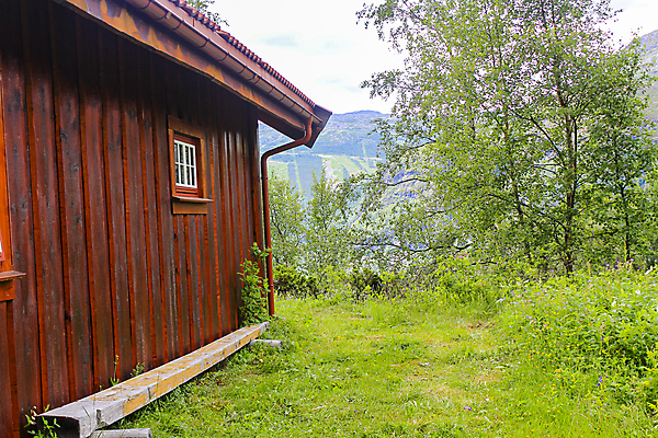 포토 JPG 해외이미지 나무 전통 외관 유럽 문화 벽 여행 건축양식 창문 자연 지붕 휴가 주택 노르웨이 풍경 사람없음 건물 목재 가로 초록색 여름 농가 갈색 마을 수확 시골 역사 농부 숲 오두막 언덕 시골집 수목 스칸디나비아 옛날 주거지 해외포토 식물 직업 건축물 계절 건축 나라 컬러 농업 재료 농장 생태계 파일형식 이미지허브