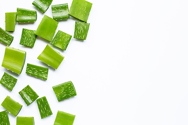 포토 JPG 해외이미지 스튜디오촬영 실내 사람없음 흰배경 알로에 해외포토 식물 백그라운드 내부 흰색 파일형식 이미지허브