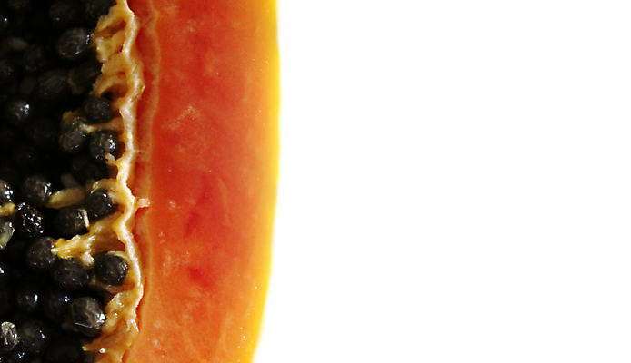 포토 JPG 해외이미지 배너 음식 조각 백그라운드 오렌지 과일 부분 탁자 육류 씨앗 사람없음 컬러풀 노란색 주방 검은색 흰색 신선 오픈 닫기 달콤 맛 자르기 오브젝트 흰배경 유기농 슬라이스 숙성 이국적 파파야 해외포토 식물 웰빙 컬러 가구 컨셉 식재료 모션 열대과일 파일형식 이미지허브