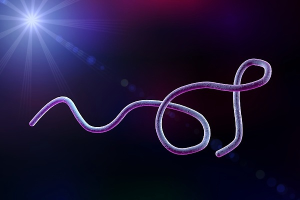 포토 JPG 해외이미지 과학 일러스트 생물 세포 나선형 건강 현미경 실험 사람 사람없음 약 3D 고통 열 벌레 질병 공격 생물학 싸움 감염 미생물 박테리아 전염병 해외일러스트 교육 감정 곤충 무늬 의학 모션 실험기구 디지털합성 파일형식 이미지허브