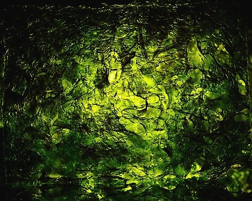 포토 JPG 해외이미지 전통 음식 바다 백그라운드 잎 다이어트 재료 추상 조명 건조 한국 건강 식이요법 요리 동양인 사람없음 초록색 빛 일본 검은색 식사 중국 해조류 상품 먹기 해산물 유기농 질감 시트 빛망울 내추럴 다시마 채식주의자 카피스페이스 비건 해외포토 식물 웰빙 아시아 컬러 무늬 모션 인종 공백 해양식물 채식 파일형식 이미지허브