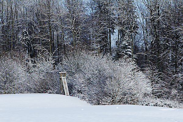 포토 JPG 해외이미지 나무 계절 공원 도로 여행 백그라운드 겨울 밭 자연 하늘 날씨 풍경 사람없음 야외 파란색 태양 걷기 일출 냉동 얼음 검은색 일몰 추위 안개 흰색 시골 숲 스위스 서리 트랙 장면 눈보라 방법 줄서기 폭설 눈내림 환상 해외포토 자연요소 식물 공공시설 유럽 길 컬러 컨셉 농업 교통시설 모션 눈_날씨 노을 자연재해 생태계 파일형식 이미지허브