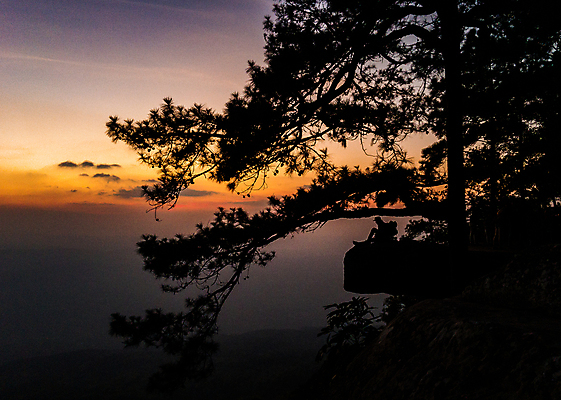 포토 JPG 해외이미지 나무 계절 공원 실루엣 여행 백그라운드 잎 오렌지 태국 자연 하늘 아침 산 미술 사람 풍경 사람없음 야외 빨간색 여름 파란색 빛 컬러풀 햇빛 태양 노란색 일출 환경 일몰 새벽 소나무 저녁 숲 장면 내추럴 전국 해외포토 주간 자연요소 식물 공공시설 아시아 컬러 과일 문화예술 촬영기법 노을 야간 생태계 파일형식 이미지허브