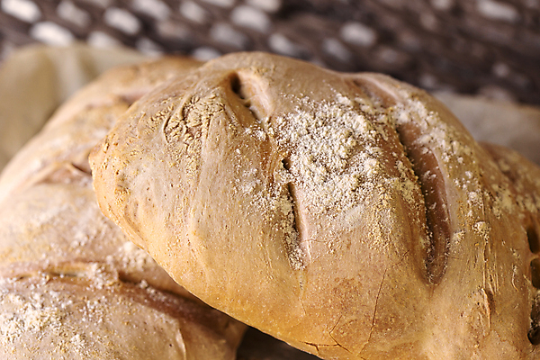 포토 JPG 해외이미지 전통 음식 빵 줄기 백그라운드 자연 건강 요리 씨앗 사람없음 목재 갈색 식사 빵집 수확 껍질 시골 신선 스페인 맛 아침식사 시리얼 밀 굽기 유기농 섬유 덩어리 DIY 내추럴 스페인어 영양분 이스트 제빵사 페스츄리 핸드메이드 귀리 해외포토 나무 식물 직업 웰빙 유럽 컬러 컨셉 농업 재료 곡류 취미 상점 직물 구이 생태계 파일형식 이미지허브