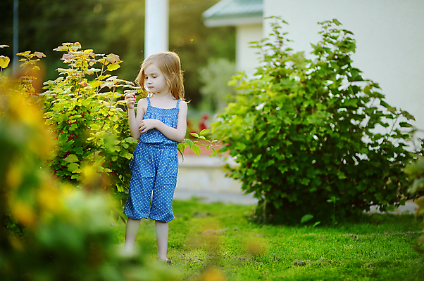 포토 JPG 해외이미지 백인 라이프스타일 응시 여자 열매 딸 행복 얼굴 어린이 잎 장난 자연 한명 미소 사람 야외 여름 빛 태양 정원 봄 활발 기쁨 가을 표현 황금 긍정 뒤뜰 원예사 혼자 해외포토 자연요소 서양인 식물 직업 1 시선 계절 감정 컨셉 가족 표정 생활 신체부위 생태계 파일형식 이미지허브