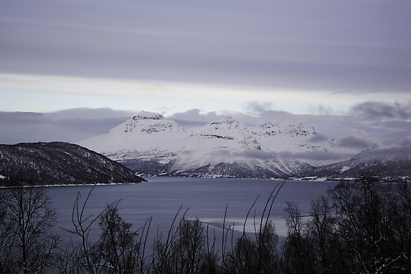 포토 JPG 해외이미지 겨울 자연 노르웨이 풍경 사람없음 추위 2월 스칸디나비아 눈내림 해외포토 계절 유럽 눈_날씨 날짜 생태계 파일형식 이미지허브