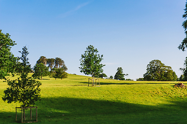 포토 JPG 해외이미지 나무 공원 농업 자연 하늘 풍경 사람없음 야외 초록색 여름 강 햇빛 맑음 침묵 시골 개울 방목 장면 찰과상 컴브리아주 목가 해외포토 식물 계절 공공시설 산업 컬러 날씨 태양 소리 축산업 상처 생태계 파일형식 이미지허브