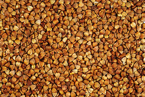 포토 JPG 해외이미지 식물 음식 백그라운드 농업 재료 건조 건강 씨앗 사람없음 갈색 아침식사 낟알 시리얼 굽기 메밀 유기농 날것 단백질 채식주의자 해외포토 웰빙 산업 컬러 식재료 식사 구이 채식 영양소 파일형식 이미지허브