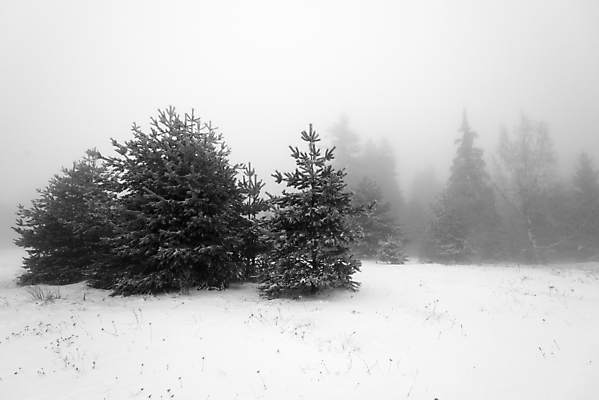 포토 JPG 해외이미지 나무 구름 계절 여행 백그라운드 크리스마스 겨울 자연 날씨 스키 산 풍경 경사 사람없음 야외 목재 빛 평화 환경 냉동 얼음 추위 안개 흰색 나뭇가지 시골 소나무 숲 12월 언덕 서리 장면 흐림 눈보라 1월 내추럴 불가리아 뿌연 눈내림 해외포토 자연요소 식물 기념일 컬러 컨셉 재료 겨울스포츠 눈_날씨 날짜 생태계 파일형식 남유럽 이미지허브