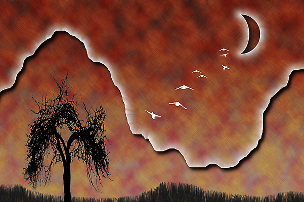 포토 JPG 해외이미지 나무 실루엣 잎 곡선 날개 오렌지 일러스트 자연 조류 하늘 표면 추상 산 풍경 경사 사람없음 빛 평화 침묵 꿈 자유 달 나뭇가지 가장자리 우아함 떨어짐 야간 초승달 달빛 그림 질감 캔버스 공상 안심 스카이라인 수평선 미니멀 해외일러스트 자연요소 식물 동물 선 컨셉 무늬 과일 촬영기법 육류 소리 둘레 생태계 파일형식 이미지허브