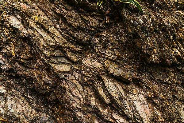 포토 JPG 해외이미지 디자인 벽 백그라운드 패턴 자연 표면 날씨 추상 사람없음 장식 공백 회색 골동품 거친 동굴 닫기 떨어짐 묘사 질감 복고 내추럴 그런지 땅바닥 석회암 옛날 울퉁불퉁 화강암 효과 해외포토 컬러 컨셉 무늬 모션 바닥 암석 생태계 파일형식 이미지허브