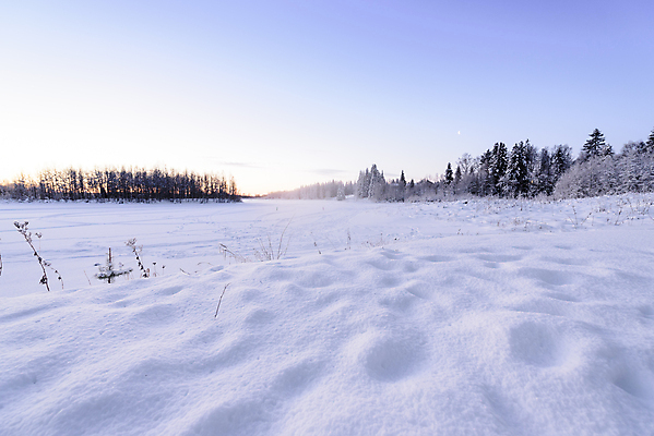 포토 JPG 해외이미지 나무 공원 꽃 실루엣 호수 바다 백그라운드 크리스마스 겨울 패턴 오렌지 자연 하늘 아침 날씨 새로움 산 핀란드 풍경 사람없음 야외 목재 파란색 강 태양 일출 환경 보라색 냉동 얼음 일몰 추위 흰색 나뭇가지 소나무 숲 12월 전나무 눈보라 양발 전국 해외포토 주간 자연요소 식물 계절 공공시설 기념일 컬러 컨셉 무늬 과일 재료 눈_날씨 촬영기법 북유럽 노을 날짜 생태계 파일형식 이미지허브
