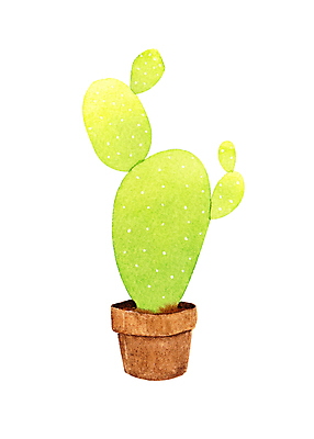 JPG 해외이미지 식물 화초 잎 일러스트 붓터치 수채화 선인장 사람없음 사막 가시 냄비 만화 그림 번짐 해외일러스트 솥 파일형식 효과 이미지허브