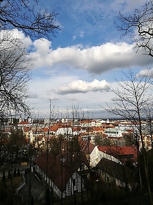 포토 JPG 해외이미지 나무 구름 손 공원 얼굴 음식 시계 백그라운드 밭 인터넷 가족 하늘 스키 거리 주택 서기 사람 경사 사람없음 야외 건물 울타리 사무실 유행 흰색 도시 양 그룹 승차 큼 방목 사인 경영 고립 그만 돌봄 선로 해외포토 자연요소 식물 건축물 공공시설 컬러 농업 비즈니스 포유류 관계 모션 겨울스포츠 신체부위 담장 축산업 크기 파일형식 이미지허브