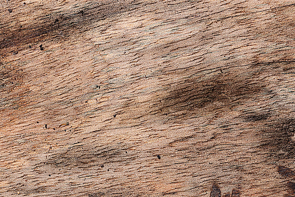 포토 JPG 해외이미지 디자인 벽지 주택 건조 사람없음 야외 내부 목재 울타리 공백 무대 수확 소나무 판넬 얼룩 거친 플랫 책상 장면 페이지 목공예 구식 그런지 옛날 파케트 해외포토 나무 가구 농업 재료 건물 담장 공예 파일형식 이미지허브