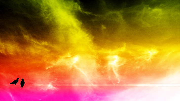 포토 JPG 해외이미지 구름 캐릭터 행복 분홍색 여행 백그라운드 무지개 2 오렌지 자연 조류 하늘 아침 바람 날씨 추상 휴식 풍경 사람없음 야외 빨간색 초록색 빛 컬러풀 햇빛 태양 노란색 우주 환경 일몰 꿈 흰색 분위기 저녁 쌍둥이 질감 공상 천국 흙더미 내추럴 해외포토 주간 자연요소 동물 감정 컬러 컨셉 무늬 과일 가족 노을 흙 야간 생태계 파일형식 더미 이미지허브