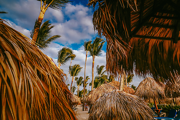 포토 JPG 해외이미지 나무 구름 모래 파도 바다 섬 여행 백그라운드 의자 우산 자연 하늘 휴가 휴식 손바닥 풍경 사람없음 야외 물 여름 파란색 햇빛 태양 맑음 일몰 흰색 만 뜨거움 휴양지 양산 코코넛 석호 몰디브 바하마 이국적 파라다이스 해외포토 자연요소 식물 손 계절 아시아 컬러 가구 컨셉 과일 날씨 노을 장소 생태계 파일형식 이미지허브