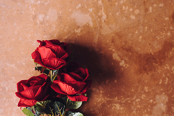 포토 JPG 해외이미지 식물 기념일 꽃잎 꽃 줄기 꽃다발 백그라운드 컨셉 잎 꽃무늬 자연 휴가 발렌타인데이 선물 사랑 사람없음 장식 빨간색 초록색 장미 갈색 활발 벚꽃 축하 인사 신선 다발 심볼 오브젝트 내추럴 그런지 인공 카피스페이스 해외포토 감정 컬러 무늬 데이이벤트 이벤트 공백 예절 생태계 파일형식 이미지허브