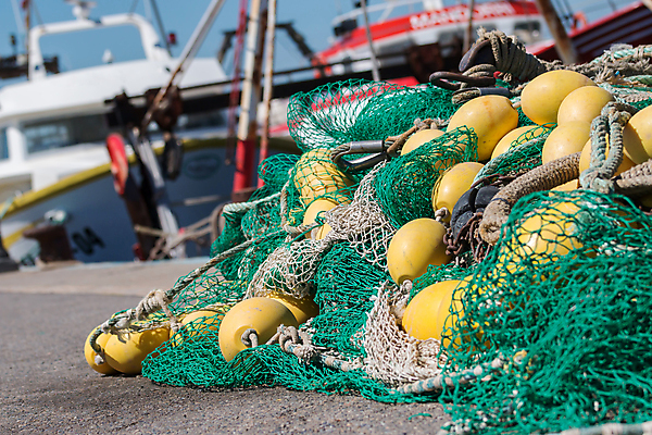 포토 JPG 해외이미지 산업 선 밧줄 음식 바다 여행 백그라운드 패턴 오렌지 비즈니스 낚시 항해 어류 어업 사람없음 야외 물 파란색 컬러풀 항구 장비 도구 잡기 그물 코드 질감 상업 매듭 낚시꾼 코르크 포트 올가미 노끈 기어 망사 흙더미 부표 옛날 해외포토 자연요소 줄 컬러 무늬 배_교통 과일 교통시설 모션 레저 수중동물 흙 직물 파일형식 더미 이미지허브