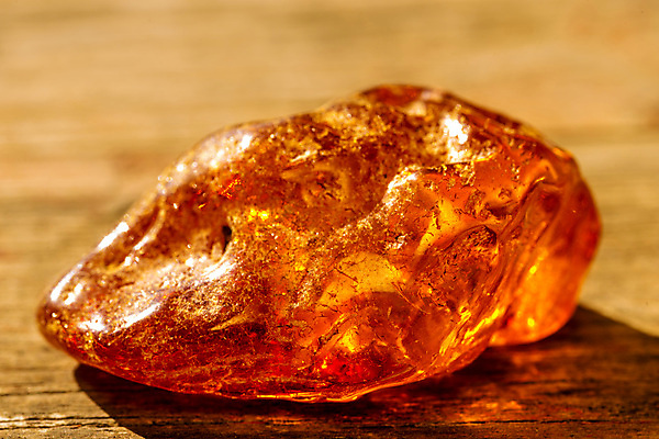 포토 JPG 해외이미지 자연 사람없음 빛 주황색 투명 보석 화석 앰버 해외포토 컬러 광석 생태계 파일형식 이미지허브