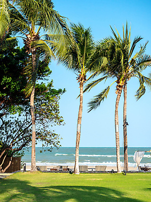 포토 JPG 해외이미지 나무 계절 실루엣 모래 바다 섬 여행 백그라운드 잎 태국 자연 벽지 하늘 추상 휴가 손바닥 풍경 사람없음 야외 세로 초록색 여름 파란색 햇빛 태양 일출 맑음 수확 시간 큼 복고 코코넛 석호 내추럴 이국적 파라다이스 스타일 해외포토 자연요소 식물 손 아시아 컬러 무늬 농업 과일 날씨 촬영기법 노을 크기 생태계 파일형식 이미지허브