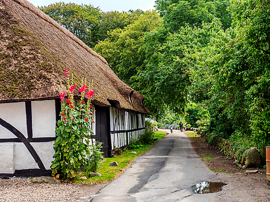포토 JPG 해외이미지 전통 꽃 유럽 바다 섬 지붕 주택 덴마크 갈대 사람없음 건물 물 농가 농장 평화 침묵 고요 수확 시골 보트 역사 작음 타운 멀리 다도해 스칸디나비아 옛날 해외포토 자연요소 식물 건축물 나라 컨셉 농업 배_교통 북유럽 소리 도시 크기 파일형식 이미지허브
