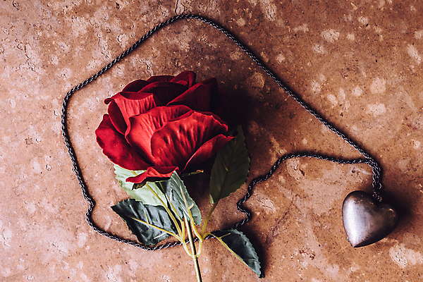 포토 JPG 해외이미지 모양 식물 기념일 꽃잎 꽃 줄기 백그라운드 컨셉 잎 꽃무늬 목걸이 자연 휴가 발렌타인데이 선물 사랑 사람없음 장식 빨간색 초록색 장미 갈색 활발 벚꽃 축하 인사 신선 은색 보석 심볼 오브젝트 내추럴 그런지 인공 해외포토 감정 컬러 무늬 장신구 데이이벤트 이벤트 예절 광석 생태계 파일형식 이미지허브