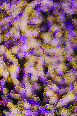 포토 JPG 해외이미지 디자인 백그라운드 패턴 추상 불꽃 경사 사람없음 야외 장식 빛 반짝임 활발 기쁨 점 원형 투명 화려 우아함 질감 정사각형 보케 빛망울 강렬 광 블러 특별함 필터 효과 해외포토 도형 감정 컨셉 무늬 모션 불 파일형식 이미지허브