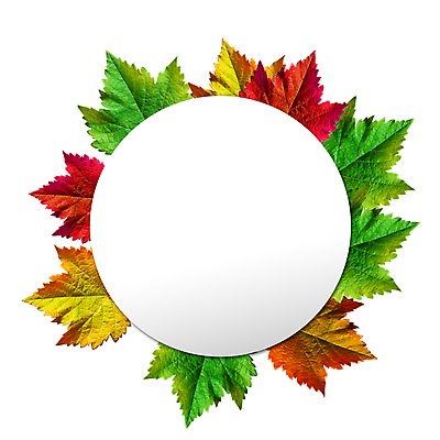 포토 JPG 해외이미지 식물 디자인 계절 길 클리핑패스 꽃다발 결혼 백그라운드 단풍 잎 꽃무늬 패턴 일러스트 자연 추상 휴가 수채화 프레임 사람없음 장식 초록색 정원 화환 공백 가을 축하 인사 원형 신용카드 우아함 숲 수집 허브 엽서 초대 내추럴 고립 그리너리 해외일러스트 도형 꽃 컬러 컨셉 무늬 이벤트 금융 예절 편지 생태계 파일형식 트랜드컬러 이미지허브