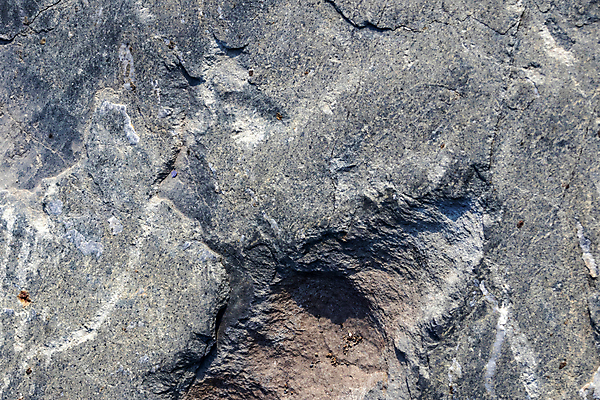 포토 JPG 해외이미지 식물 디자인 계절 공원 벽 백그라운드 컨셉 잎 패턴 자연 벽지 표면 추상 바닥 미술 잔디 사람없음 야외 장식 여름 빛 컬러풀 햇빛 환경 정원 성장 신선 닫기 유기농 질감 보케 부드러움 내추럴 블러 생태학 효과 해외포토 웰빙 공공시설 교육 컬러 무늬 모션 문화예술 태양 감각 생태계 파일형식 이미지허브