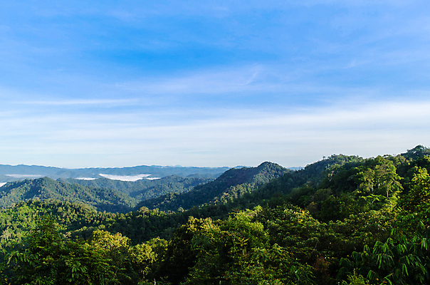 포토 JPG 해외이미지 구름 바다 여행 백그라운드 태국 자연 벽지 하늘 아침 휴가 산 풍경 사람없음 야외 파란색 빛 태양 일출 안개 지역 내추럴 해외포토 주간 자연요소 아시아 컬러 날씨 노을 생태계 파일형식 이미지허브
