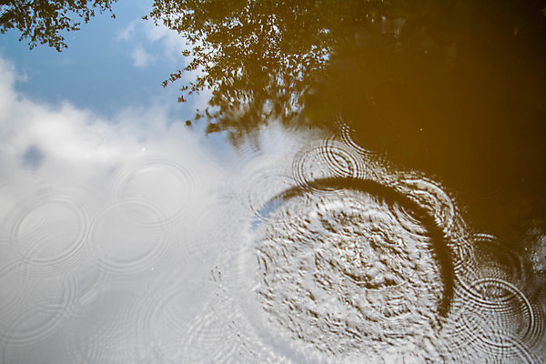 포토 JPG 해외이미지 나무 식물 계절 여행 백그라운드 자연 추상 건강 풍경 사람없음 야외 물 파란색 햇빛 갈색 환경 거품 젖음 흰색 연못 신선 원형 액체 떨어짐 숲 질감 내추럴 고립 삼림지대 스플래쉬 몽환 해외포토 자연요소 도형 컬러 컨셉 무늬 태양 생태계 파일형식 이미지허브