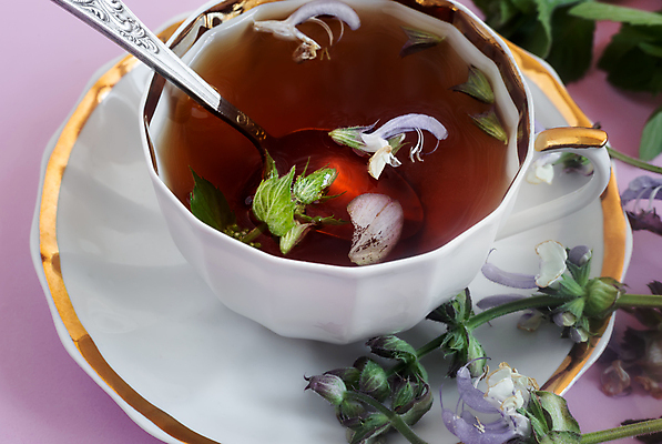 포토 JPG 해외이미지 식물 라이프스타일 꽃 문화 음료 조각 잎 자연 주전자 건강 사람없음 컵 초록색 약 갈색 머그컵 신선 투명 액체 고급 닫기 차 토끼풀 아침식사 약초 민트 허브 유기농 아로마 향 동쪽 내추럴 세이지 해외포토 식기 웰빙 컬러 컨셉 의학 모션 주방용품 생활 식사 풀_식물 방향 생태계 파일형식 이미지허브