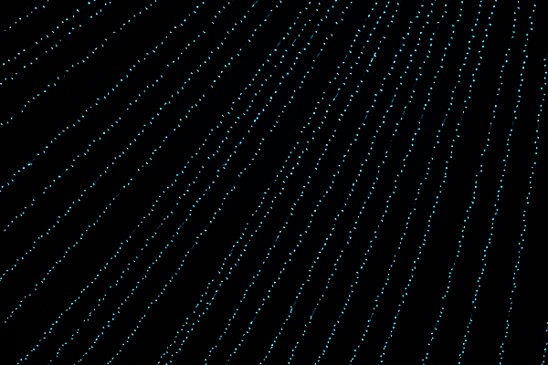 포토 JPG 해외이미지 디자인 행복 별 백그라운드 크리스마스장식 크리스마스 일러스트 추상 휴가 불꽃 새로움 기념 미술 이벤트 사람없음 장식 빨간색 파란색 빛 우주 검은색 축제 화환 어둠 축하 원형 신용카드 화려 우아함 야간 소프트포커스 연도 심볼 보케 마법 빛망울 엘리먼트 해외일러스트 자연요소 도형 기념일 꽃 감정 컬러 컨셉 무늬 불 문화예술 촬영기법 금융 파일형식 이미지허브