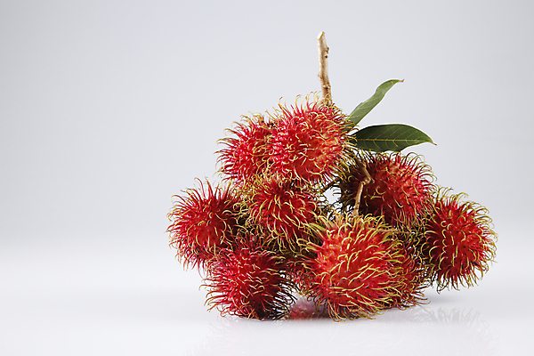 포토 JPG 해외이미지 나무 식물 계절 아시아 음식 백그라운드 잎 농업 과일 재료 태국 자연 디저트 건강 동양인 사람없음 빨간색 컬러풀 수확 흰색 신선 달콤 맛 먹기 유기농 날것 말레이시아 내추럴 숙성 이국적 해외포토 웰빙 나라 산업 컬러 컨셉 모션 인종 생태계 파일형식 이미지허브