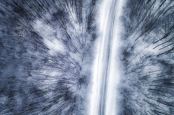 포토 JPG 해외이미지 나무 계절 도로 야생동물 여행 백그라운드 겨울 자동차 자연 하늘 날씨 스키 산 안테나 파노라마 풍경 사람없음 야외 목재 환경 냉동 얼음 추위 탐험 흰색 시골 신선 정상 숲 시원함 서리 내추럴 드론 뿌연 수평선 해외포토 자연요소 식물 동물 길 육상교통 컬러 재료 통신 교통시설 겨울스포츠 촬영기법 생태계 파일형식 이미지허브