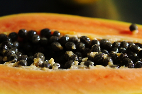 포토 JPG 해외이미지 음식 조각 오렌지 과일 부분 탁자 건강 육류 씨앗 사람없음 컬러풀 노란색 주방 검은색 신선 오픈 닫기 달콤 맛 자르기 오브젝트 유기농 슬라이스 숙성 이국적 파파야 해외포토 식물 웰빙 컬러 가구 컨셉 식재료 모션 열대과일 파일형식 이미지허브