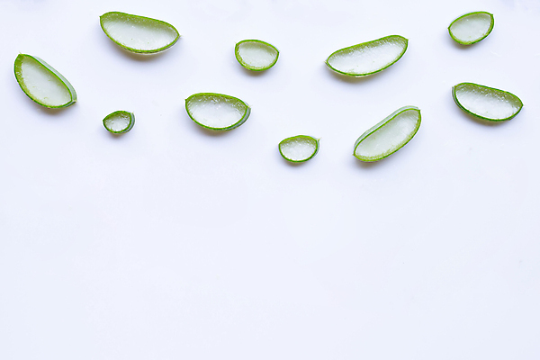 포토 JPG 해외이미지 스튜디오촬영 단면 실내 사람없음 흰배경 알로에 해외포토 식물 백그라운드 내부 흰색 파일형식 이미지허브