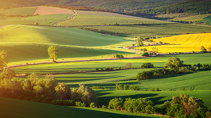 포토 JPG 해외이미지 주간 풍경 초원 사람없음 야외 여름 노을 시골 해외포토 자연요소 계절 파일형식 이미지허브