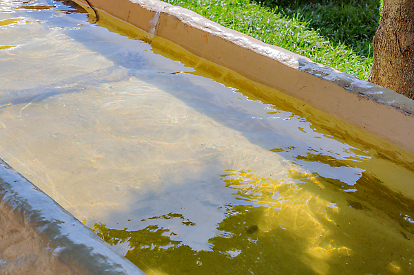 포토 JPG 해외이미지 주간 공원 파도 백그라운드 표면 사람없음 야외 물 여름 반사 정원 바위 시골 개울 작음 물주기 원예 운하 좁은 뒤뜰 생태학 콘크리트 핸드메이드 해외포토 자연요소 계절 공공시설 교육 바다 모션 취미 강 돌_바위 크기 파일형식 이미지허브