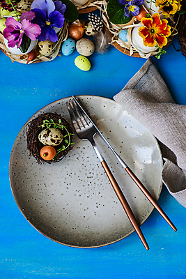 포토 JPG 해외이미지 나무 식물 식기 접시 꽃 백그라운드 꽃무늬 탁자 휴가 부활절 프레임 사람없음 초록색 파란색 세트 노란색 계란 축제 봄 벚꽃 나뭇가지 시골 반지 도자기 신용카드 체리 둥지 은색 냅킨 서빙 설정 비올라 파스텔톤 프리뮬러 카피스페이스 해외포토 계절 기념일 컬러 가구 무늬 과일 장신구 금융 알 공백 파일형식 찰현악기 이미지허브