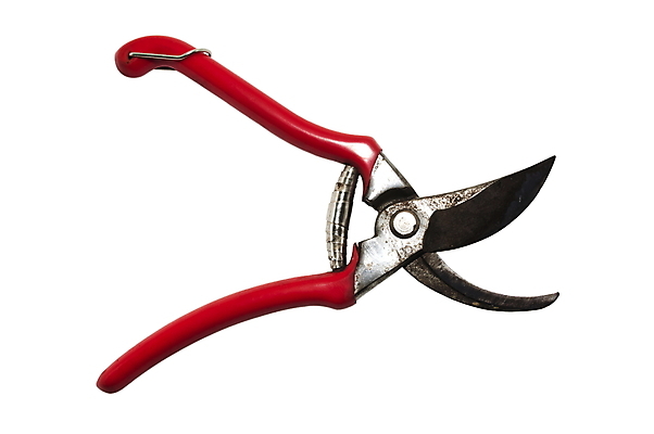 포토 JPG 해외이미지 계절 백그라운드 장신구 취미 사람없음 야외 빨간색 울타리 금속 와인 정원 봄 장비 수확 흰색 공구 자르기 오브젝트 원예 클립 날카로움 포도밭 포도나무 손질 고립 항목 해외포토 컬러 밭 농업 모션 재질 주류 담장 도구 과일나무 파일형식 이미지허브