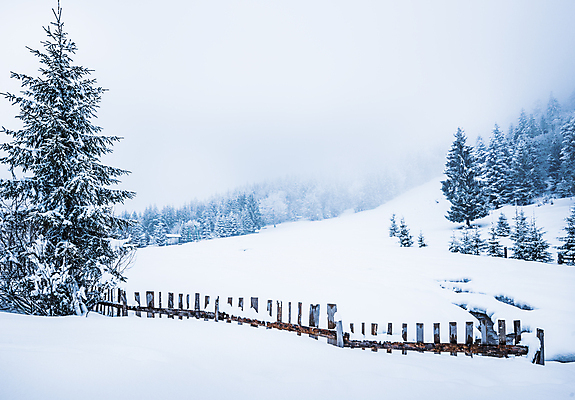 포토 JPG 해외이미지 나무 계절 유럽 여행 겨울 자연 날씨 휴가 산 파노라마 풍경 사람없음 환경 계곡 냉동 얼음 하이킹 추위 안개 흰색 시골 숲 그림 서리 북쪽 전나무 산악지대 교외 제설기 폭설 눈내림 해외포토 자연요소 식물 나라 컬러 레저 눈_날씨 촬영기법 자연재해 방향 생태계 제설 파일형식 이미지허브