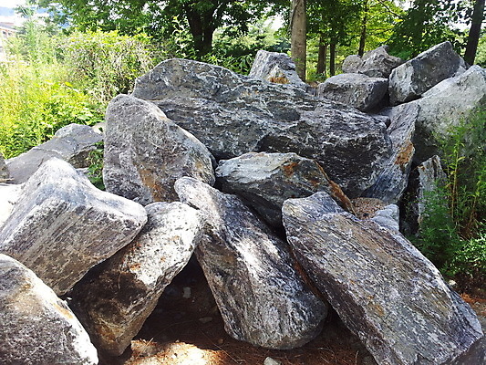 포토 JPG 해외이미지 나무 공원 바다 여행 패턴 자연 표면 날씨 추상 산 풍경 사람없음 야외 초록색 여름 갈색 환경 바위 구멍 거친 재산 숲 묘사 부식 질감 내추럴 지질학 해외포토 식물 계절 공공시설 교육 컬러 무늬 금융 돌_바위 생태계 파일형식 이미지허브