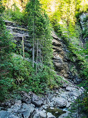 포토 JPG 해외이미지 나무 계절 여행 모션 자연 휴가 산 이끼 풍경 사람없음 야외 초록색 물 여름 파란색 골짜기 봄 폭포 하이킹 흐름 시골 개울 보호 숲 내추럴 바이에른 해외포토 자연요소 식물 컬러 컨셉 레저 독일 강 생태계 파일형식 이미지허브