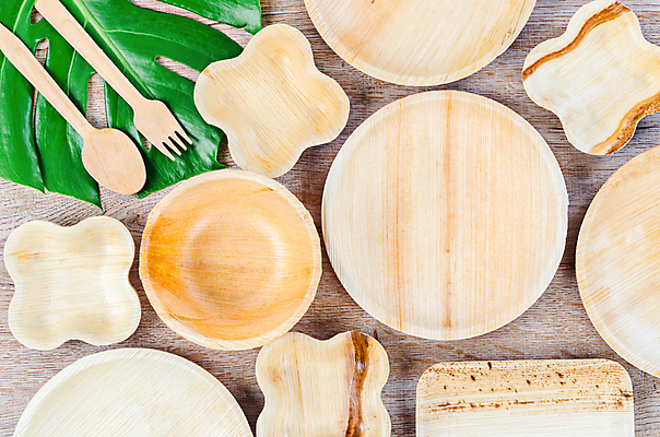 포토 JPG 해외이미지 잎 실내 사람없음 하이앵글 자연보호 에코 친환경 에코라이프 나무숟가락 나무그릇 나무접시 나무포크 친환경제품 제로웨이스트 나무배경 해외포토 식물 라이프스타일 그릇 접시 뷰포인트 백그라운드 포크 자연 내부 목재 환경 숟가락 그린캠페인 보호 사회이슈 파일형식 이미지허브