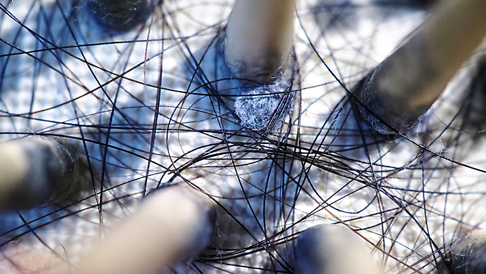 포토 JPG 해외이미지 헤어스타일 여자 백그라운드 컨셉 스트레스 사람 사람없음 갈색 유행 상점 검은색 장비 흰색 죽음 붓 머리빗 막대기 닫기 떨어짐 질병 플라스틱 미용사 오브젝트 먼지 문제 돌봄 옛날 위생관리 이발사 적자 스타일 해외포토 직업 컬러 의학 모션 재질 관리 미용용품 파일형식 이미지허브