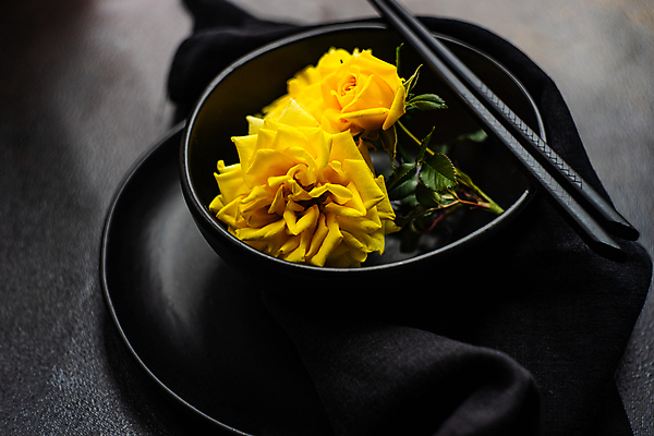 포토 JPG 해외이미지 그릇 접시 젓가락 회색배경 사람없음 아웃포커스 장미 담기 해외포토 식기 꽃 백그라운드 모션 촬영기법 수저 회색 파일형식 이미지허브